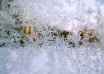 Метеорологи назвали дату прихода заморозков в Краснодарский край