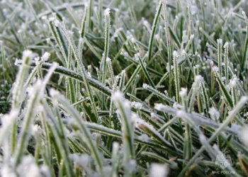 В Краснодарский край вместе с заморозками приходит зима. Синоптики назвали время