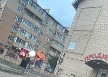 В Краснодаре женщина работает в доставке с собакой-поводырем