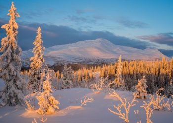 Синоптики прогнозируют противоречивый зимний сезон в Краснодарском крае