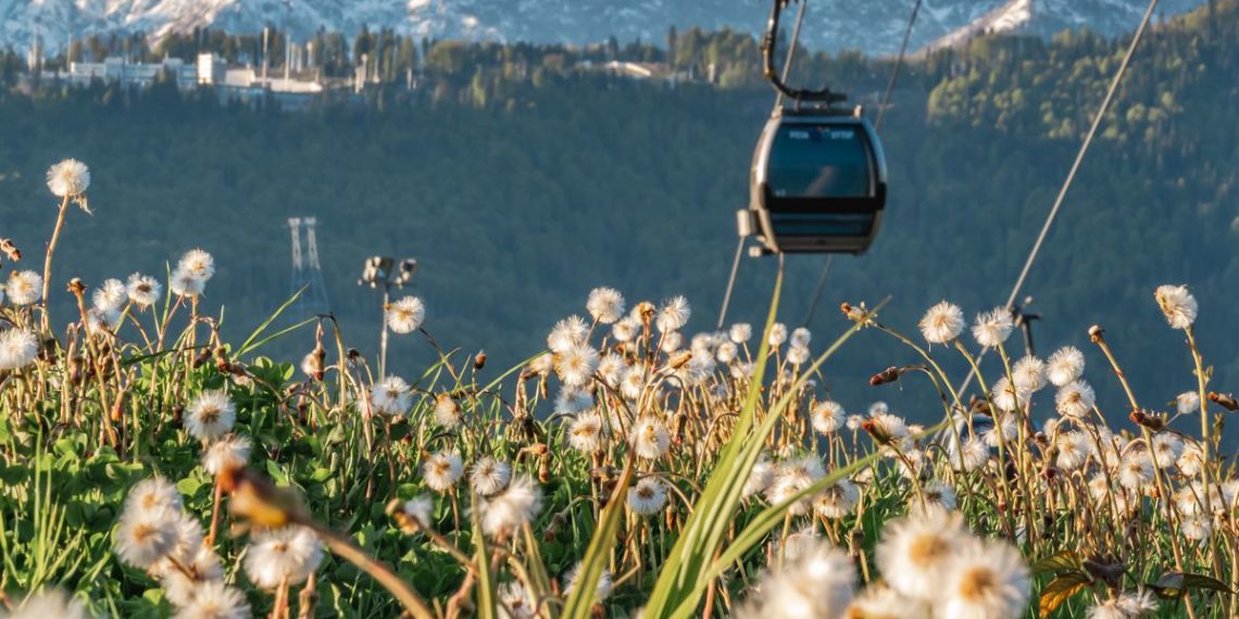 Миллион? Да, миллион гостей в Сочи на «Роза Хутор»