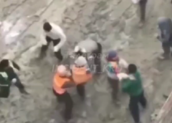 Кулачный бой в Краснодарском крае: где пострадавшие?