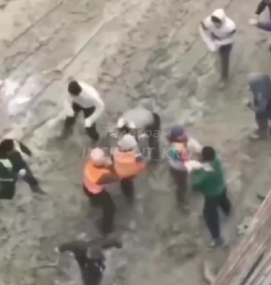 Кулачный бой в Краснодарском крае: где пострадавшие?