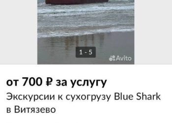 В Анапе к севшему на мель сухогрузу Blue Shark организовали экскурсии