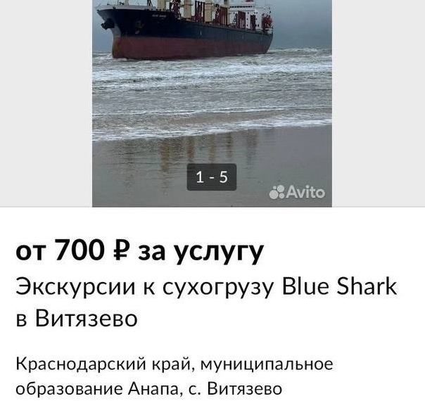 В Анапе к севшему на мель сухогрузу Blue Shark организовали экскурсии