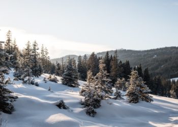 Погода в начале декабря в Краснодарском крае сойдет с ума. Скриншот уже в Сети