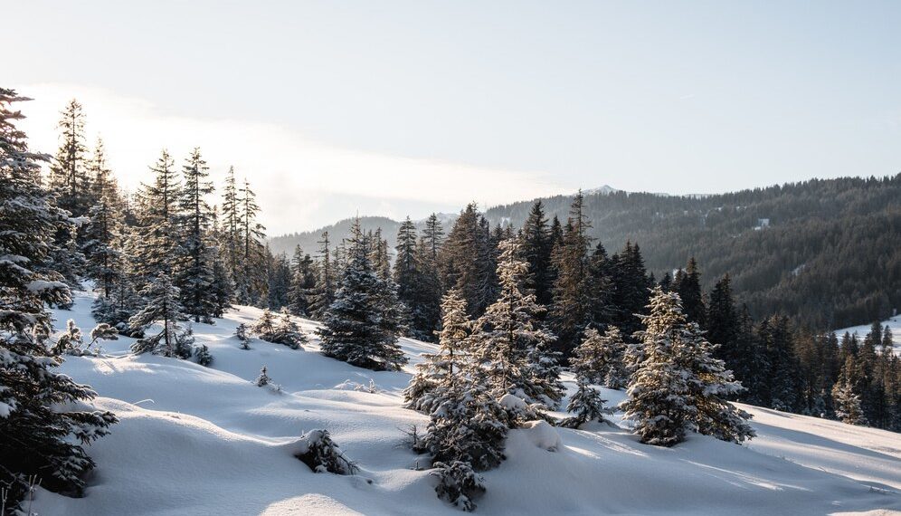Погода в начале декабря в Краснодарском крае сойдет с ума. Скриншот уже в Сети