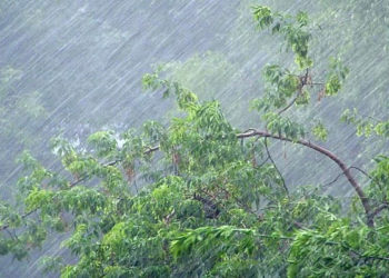 В Сочи ожидаются сильный дождь и гроза 7 ноября