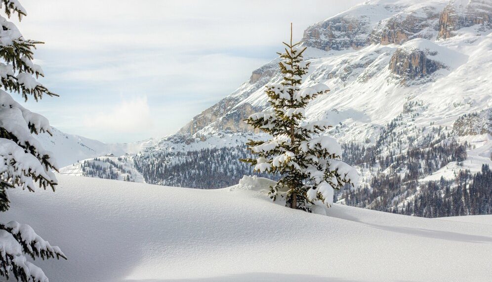 Весь декабрь на Кубани будет аномальный. Синоптики сказали, к чему готовиться