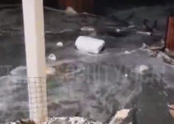 В Сочи сбежала в море форель