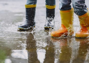 Официальная информация: Администрация Сочи о непогоде