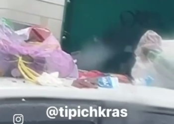 В Краснодаре сразу несколько человек нагадили на автомобиль