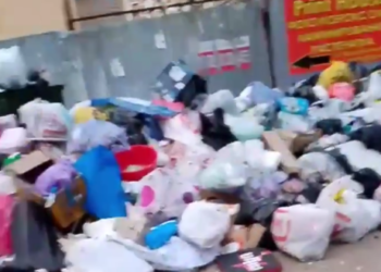 Дети обеспокоены ситуацией с мусором в Краснодаре