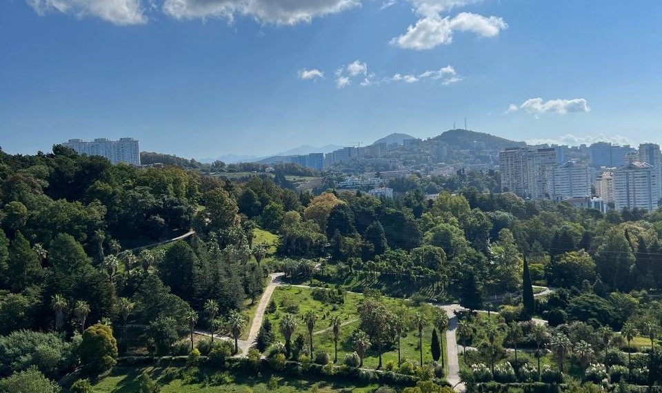 В Краснодарском крае резко похолодает. Метеоролог озвучил дату