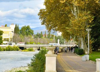 В Сочи создают систему эффективного управления парками