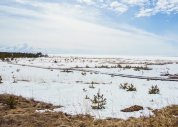 Краснодарский край скует холод. Синоптики опубликовали скриншот