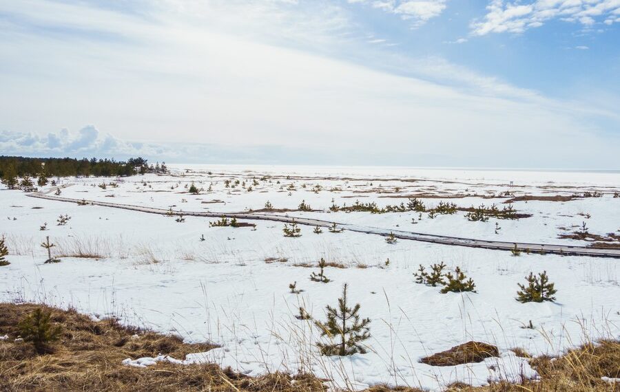 Краснодарский край скует холод. Синоптики опубликовали скриншот