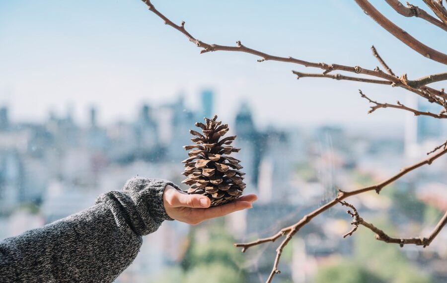 Синоптики раскрыли детали аномальной зимы на Кубани. Почему погода сойдет с ума