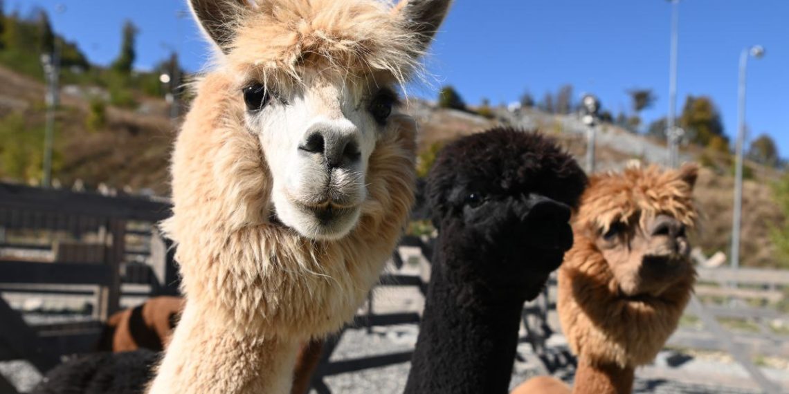 Синоптики резко изменили прогноз на аномальную погоду в Краснодарском крае