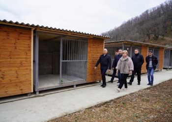 В Сочи открылся центр по обращению с животными без владельцев