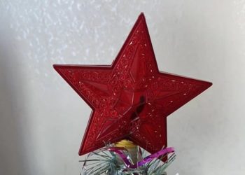В Краснодаре продают новогоднюю звезду для елки за 1,5 млн рублей