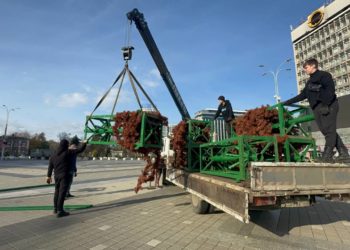 В Краснодаре начали устанавливать в 22-метровую новогоднюю елку