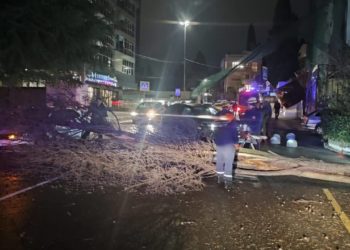 В Сочи объявили штормовое предупреждение на 26 декабря