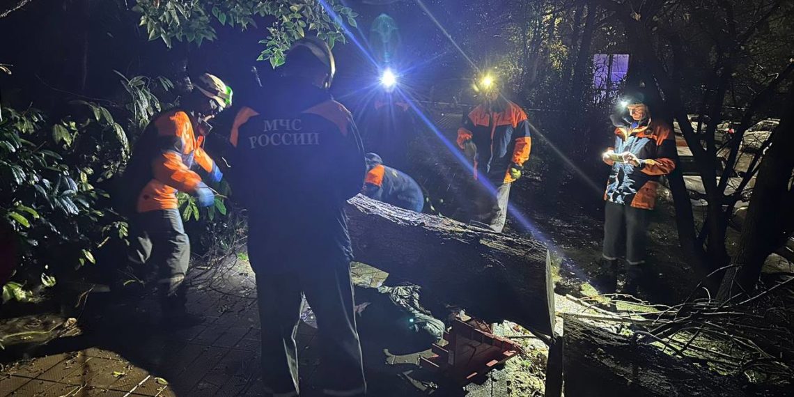 Копайгородский: ночью в Сочи повалило более 65 деревьев