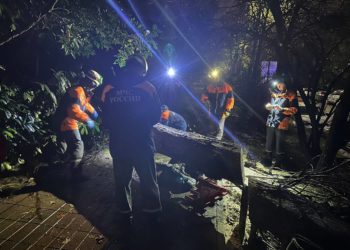 Копайгородский: ночью в Сочи повалило более 65 деревьев