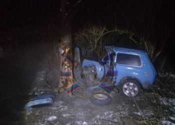 На Кубани водитель «Нивы» врезался в дерево и погиб