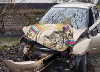 На Кубани женщина пострадала в ДТП из-за кошки