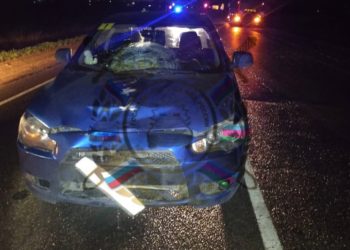 На Кубани женщина на иномарке насмерть сбила пешехода