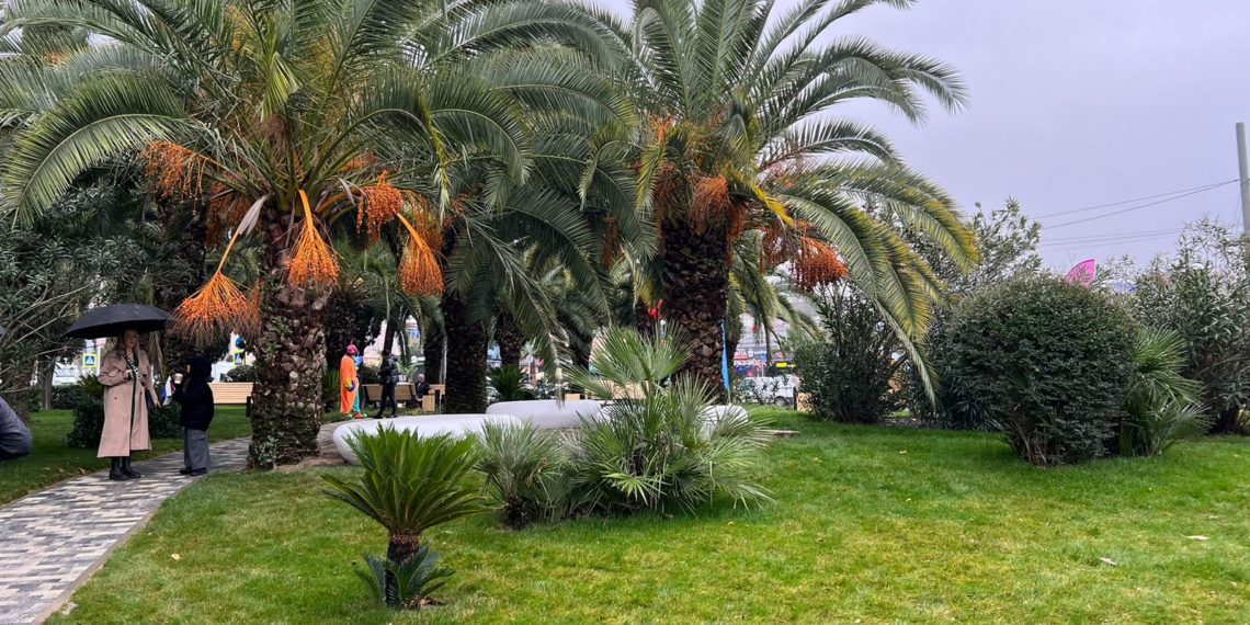 Депутат Юрковский принял активное участие в создании сквера в Сочи