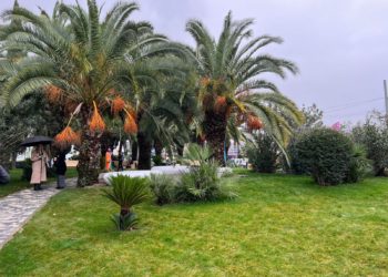 Депутат Юрковский принял активное участие в создании сквера в Сочи