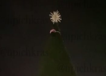 В Геленджике женщина залезла на 20-метровую главную елку