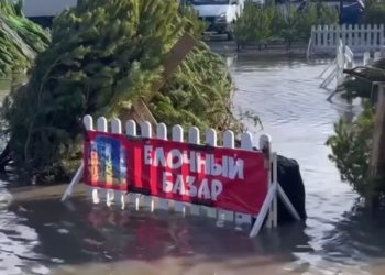 В Анапе затопило елочный базар