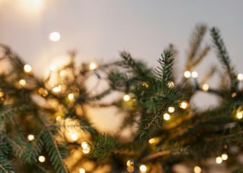 Синоптики рассказали о ярком сюрпризе в новогоднюю ночь в Краснодарском крае