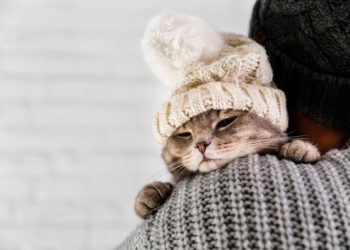 Синоптики резко изменили прогноз на самый холодный день декабря на Кубани