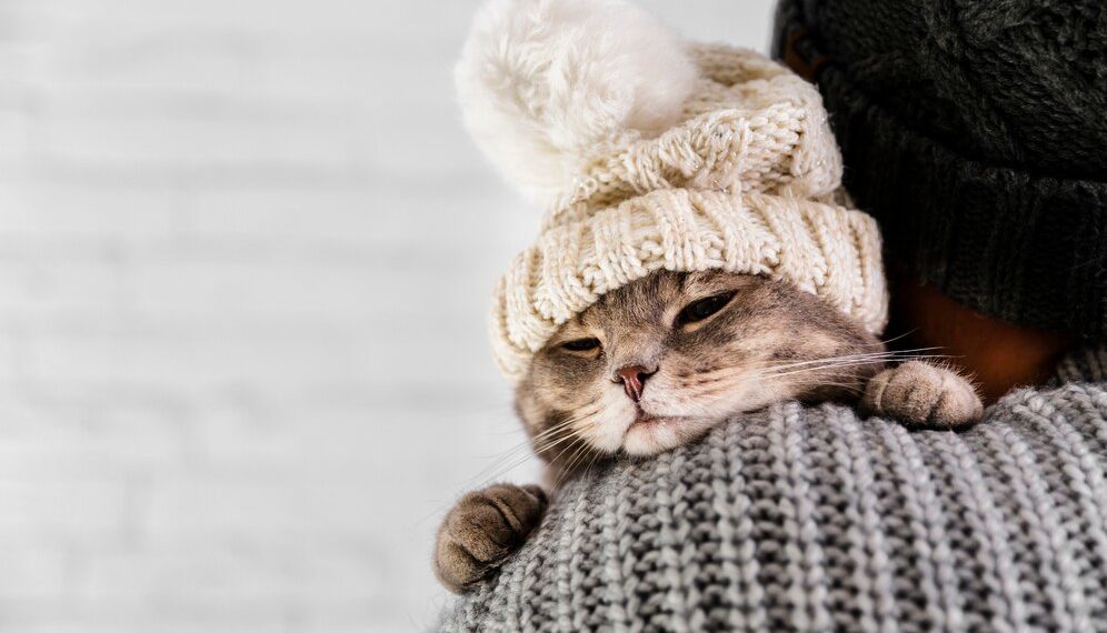 Синоптики резко изменили прогноз на самый холодный день декабря на Кубани