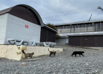 Синоптики рассказали, как долго продержится похолодание в Краснодарском крае