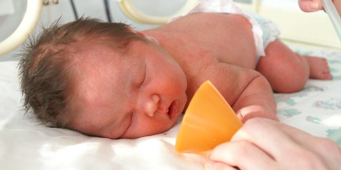 За сутки в Краснодарском крае родились три двойни