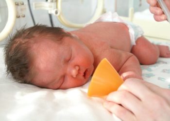 За сутки в Краснодарском крае родились три двойни