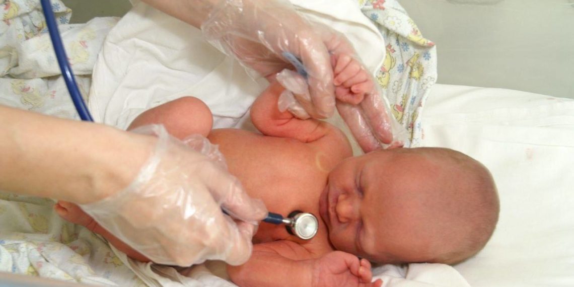 За сутки в Краснодарском крае родились три двойни