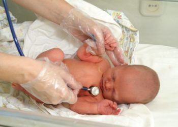 За сутки в Краснодарском крае родились три двойни