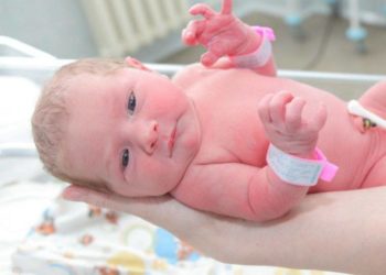 За сутки на Кубани родились две двойни