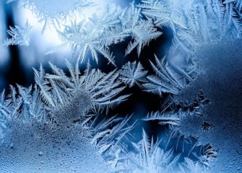 Синоптик рассказал, затронет ли «новогодняя» волна холода Краснодарский край