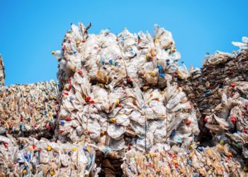 Радионова: Краснодарскому краю не хватает современных мусорных полигонов