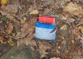 В Сочи поймали парня и девушку с 50 граммами наркотиков