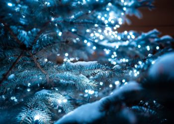 Погода на Новый год в Краснодарском крае сойдет с ума