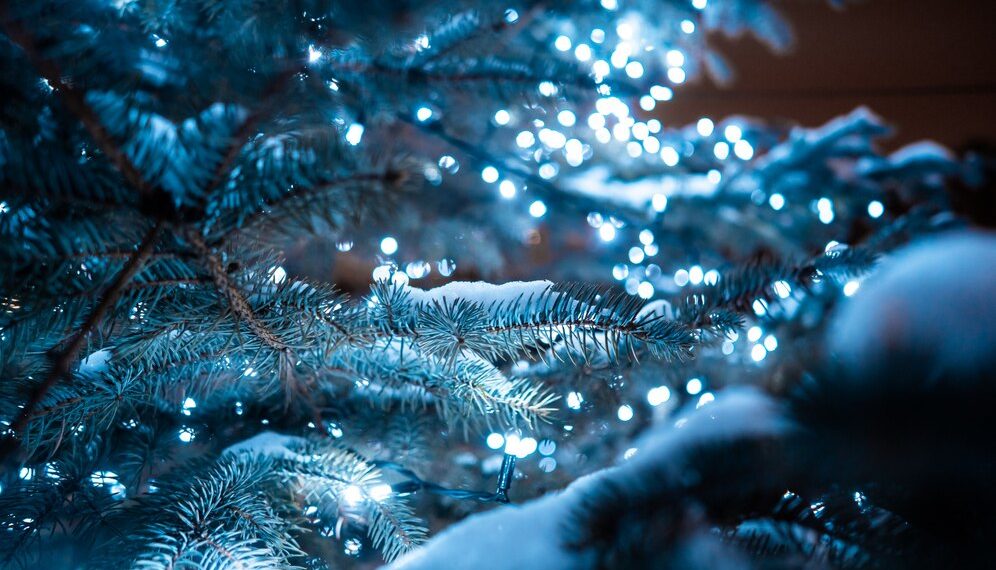 Погода на Новый год в Краснодарском крае сойдет с ума